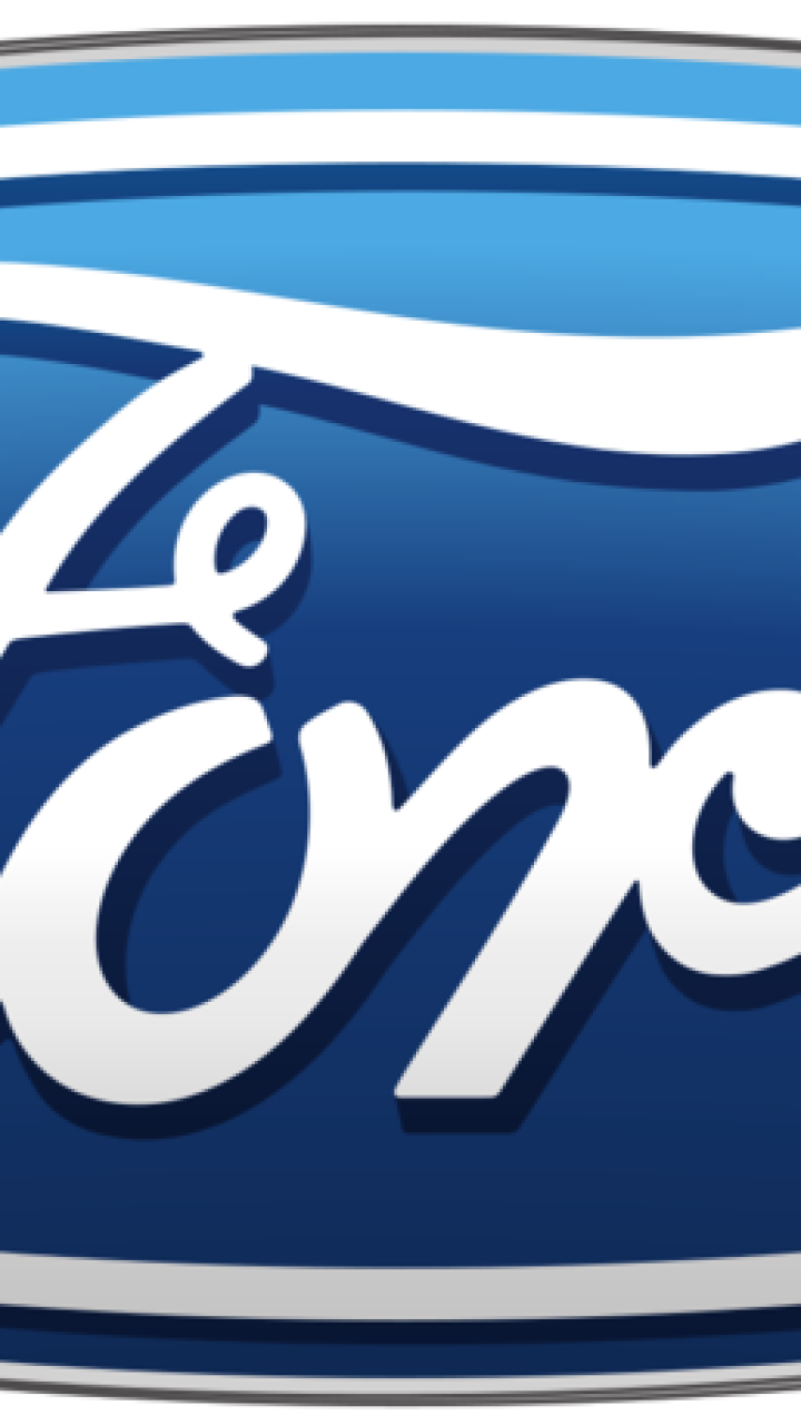 Ford Logo