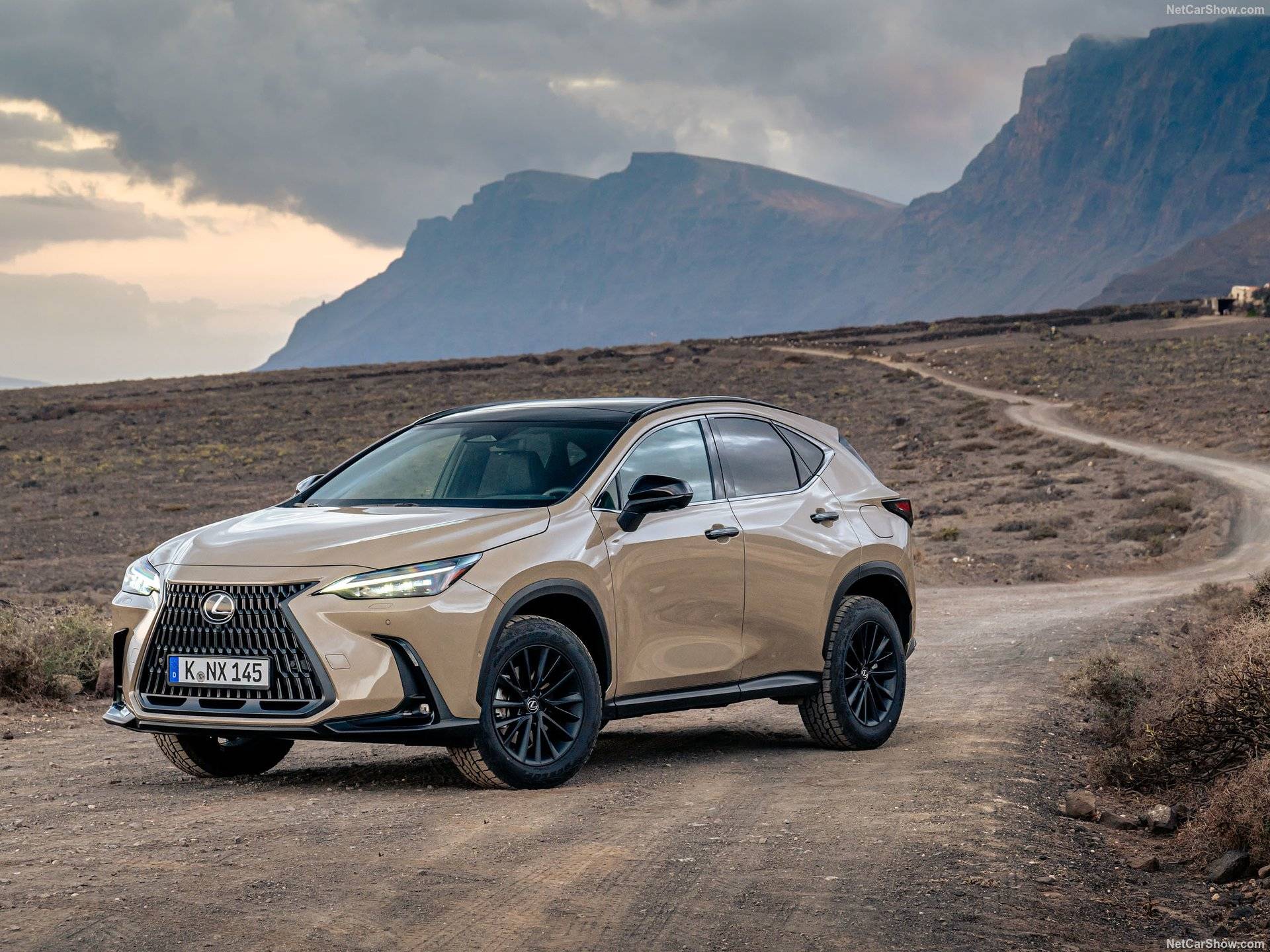 2025 Lexus NX Overtrail