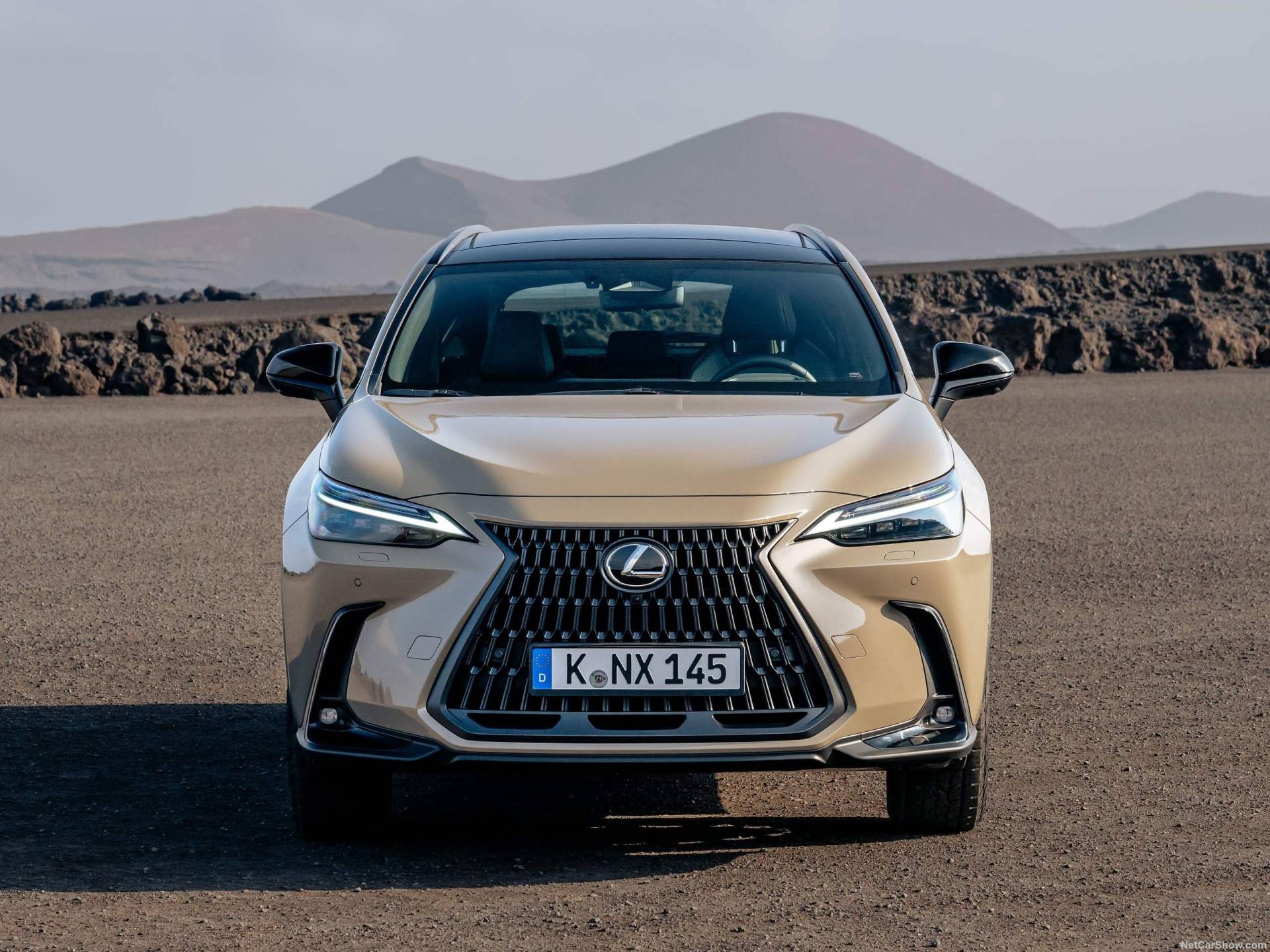 2025 Lexus NX Overtrail