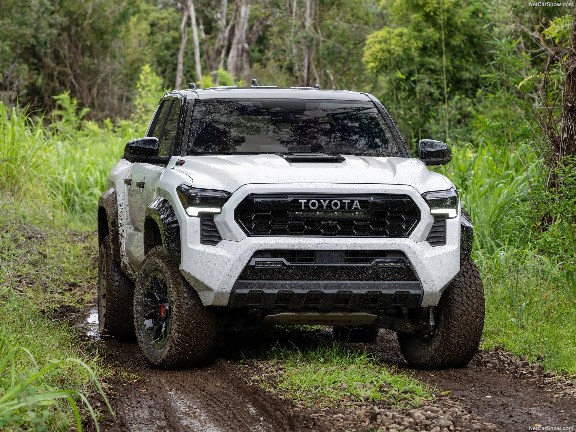 2024 Toyota Tacoma TRD Pro