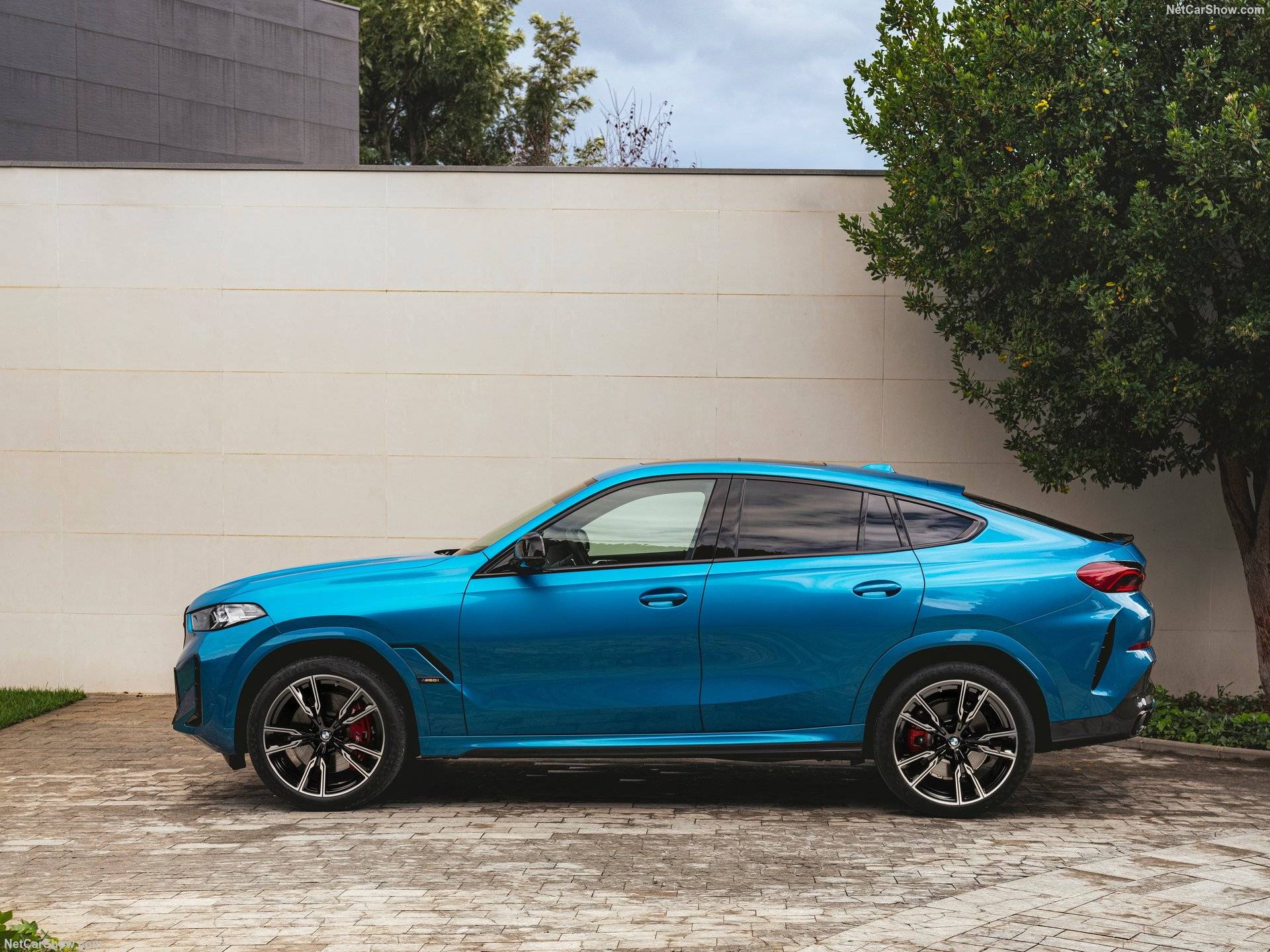2024 BMW X6 M60i