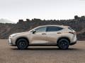 2025 Lexus NX Overtrail