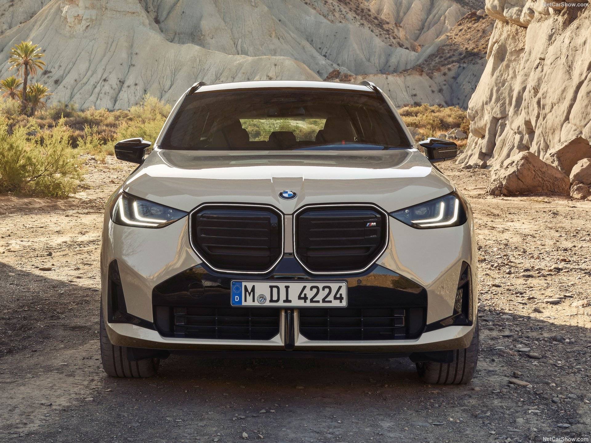 2025 BMW X3 M